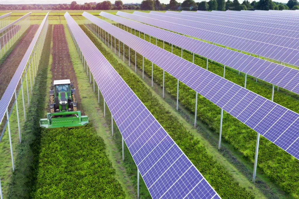 impianto-agrivoltaico-colture-estensive