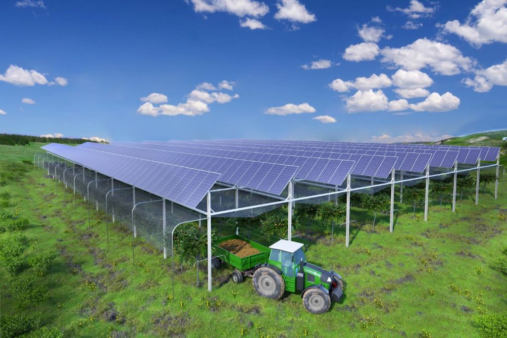 impianto-agrivoltaico-frutteti