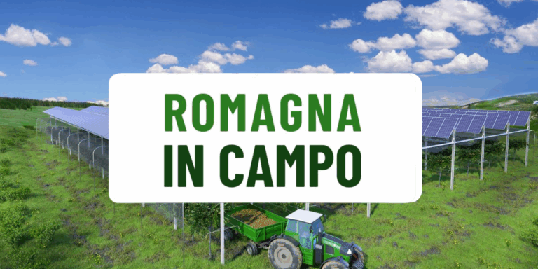 Scopri di più sull'articolo ROMAGNA IN CAMPO​