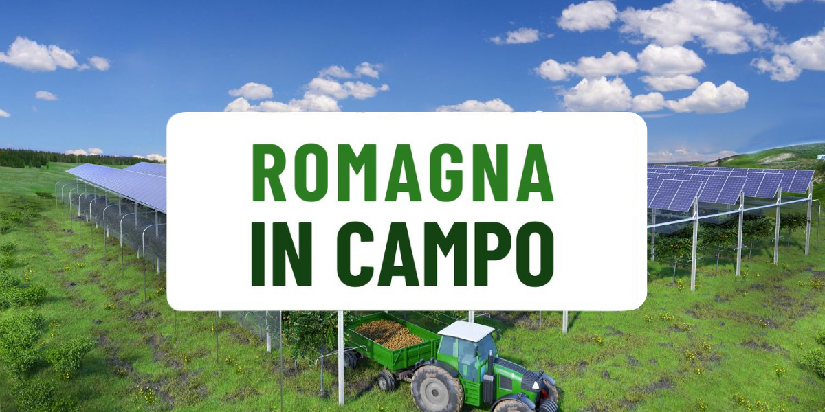 Scopri di più sull'articolo ROMAGNA IN CAMPO​
